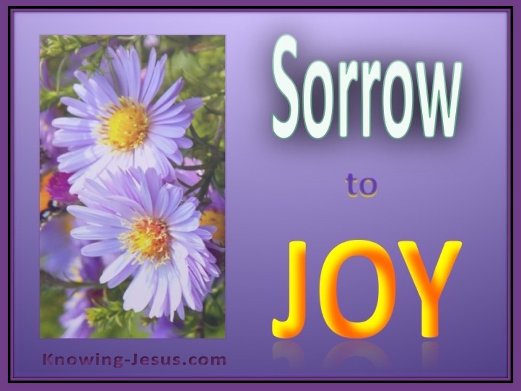 Psalm 30:5 Sorrow to Joy (devotional) (yellow)